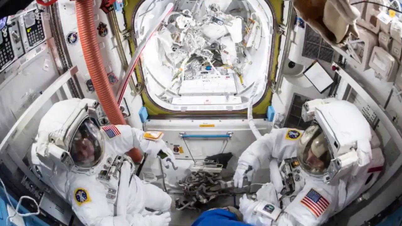 Hopes Rise For Colonizing Space As Astronauts Harvest Space-Grown Food