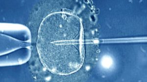 Egg-freezing: What’s the success rate?