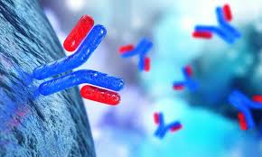 Research Antibodies Market