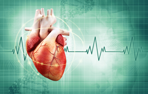 Acute Coronary Syndrome Therapeutics