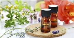 Alternative Medicines And Therapy