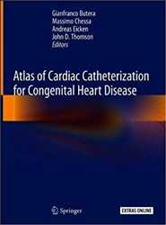 Global Heart Catheterization Market 