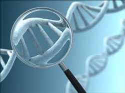 Prenatal DNA Sequencing
