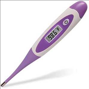 Global Electronic Medical Thermometer Market Industry