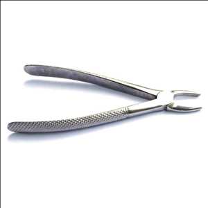 Global Extraction Forceps Market Insights