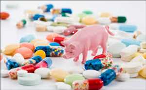Animal Antibacterial And Antibiotics Market