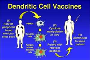Dendritic Cell Cancer Vaccine Market