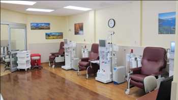 Global Dialysis Services Market Share