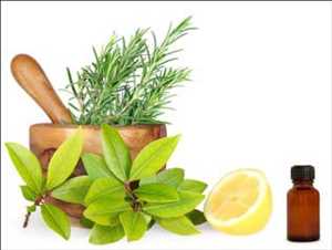 Herbal Extracts Market