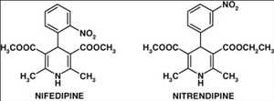 Nitrendipine Market