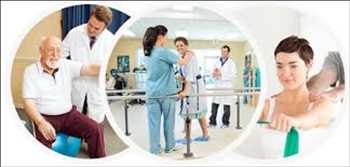 Global Physical Therapy Services Market Size