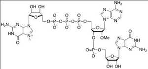 Procalcitonin (CAS 56645-65-9) Market