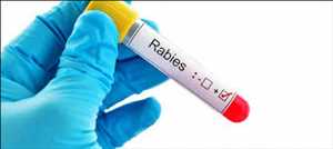 Rabies Vaccine Market