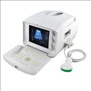 Veterinary Ultrasound Systems Market