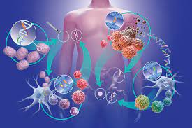 Global Novel Drug Delivery Systems (NDDS) in Cancer Therapy Market