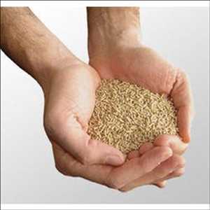 Global Poultry Feed Premix Market Trend