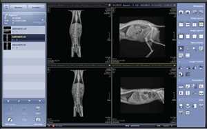 Global Veterinary Imaging Market Demand