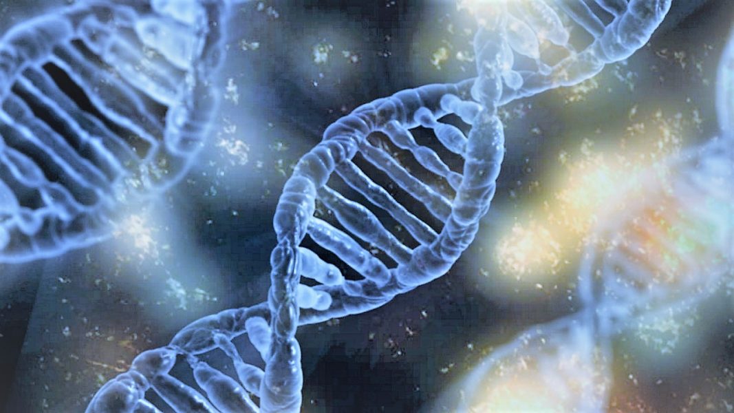 DNA Nanotechnology