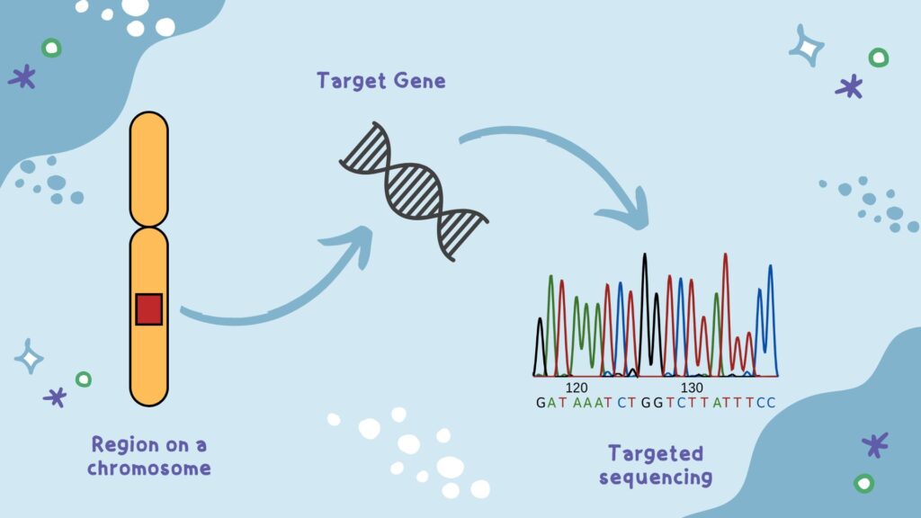 Targeted Sequencing And Resequencing 